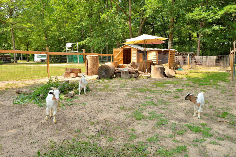 Others 3, Camping Etang de la Vallee, Loiret