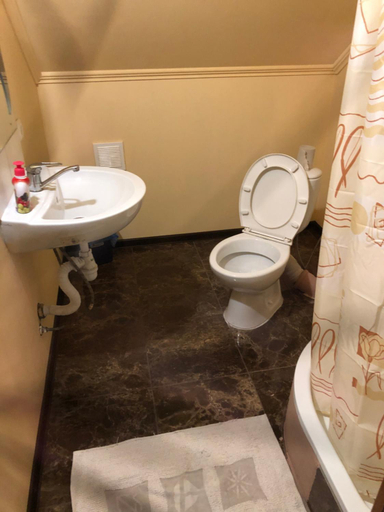 Bathroom 3, Гостиныи Дом Comfort, Reniis'kyi