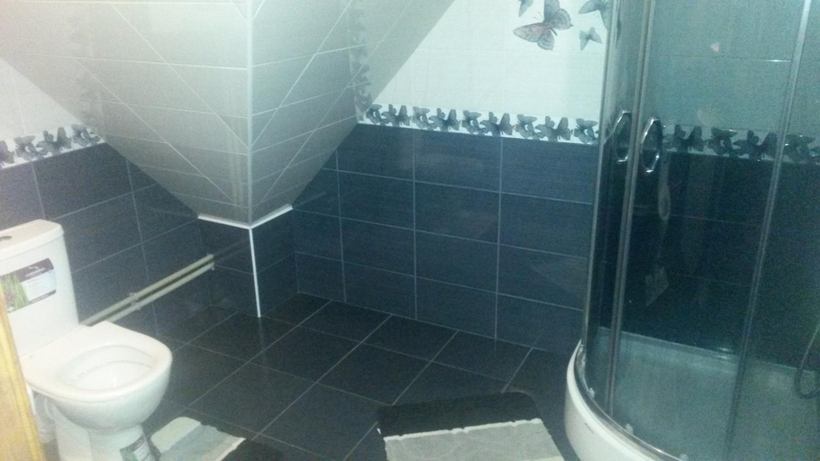 Bathroom 3, Садиба Зґарда, Iaremchans'ka