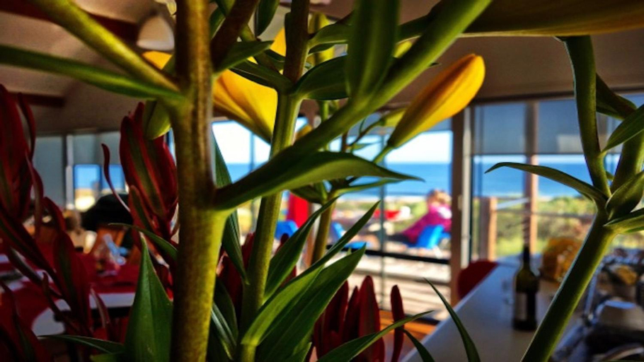 Food & Drinks, Blue Ocean Haven - Expansive Ocean Views in this Classic Family Beach House in Peppermint Grove Beac, Capel