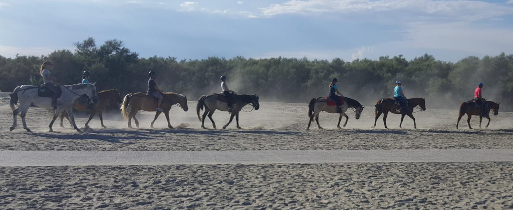 Horseback riding
