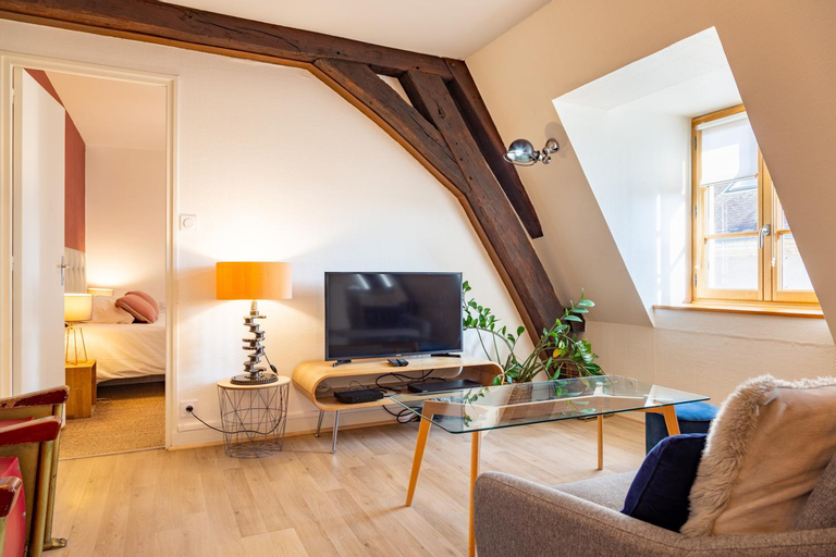 Others 5, Happy Loft - Centre historique + parking prive, Loir-et-Cher