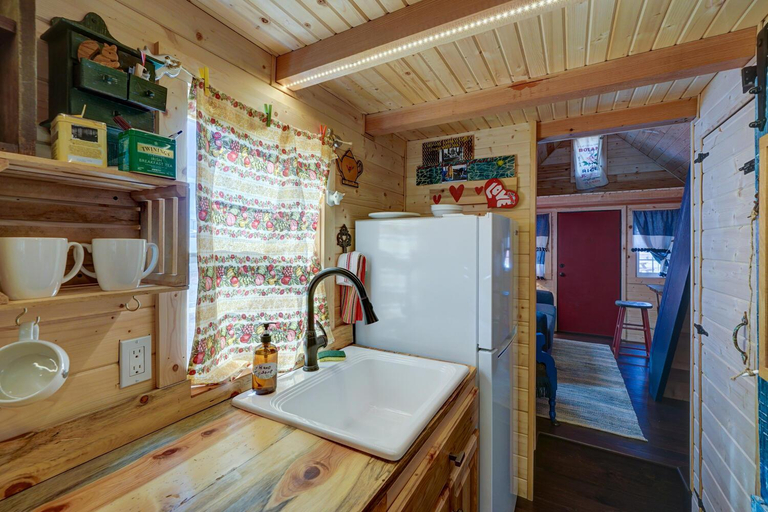 Others 4, Tiny House Leadville Colorado, Lake