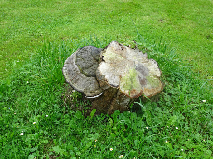 Garden 2, Apartamentos El Llago, Asturias