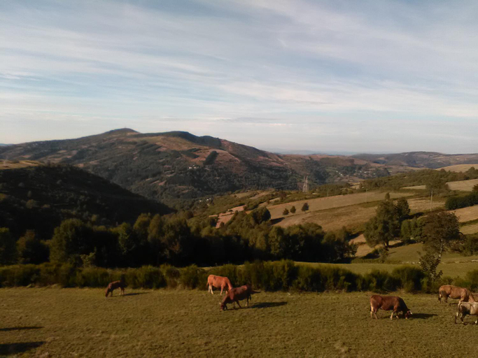 Others 4, Linar Do Rei, Lugo