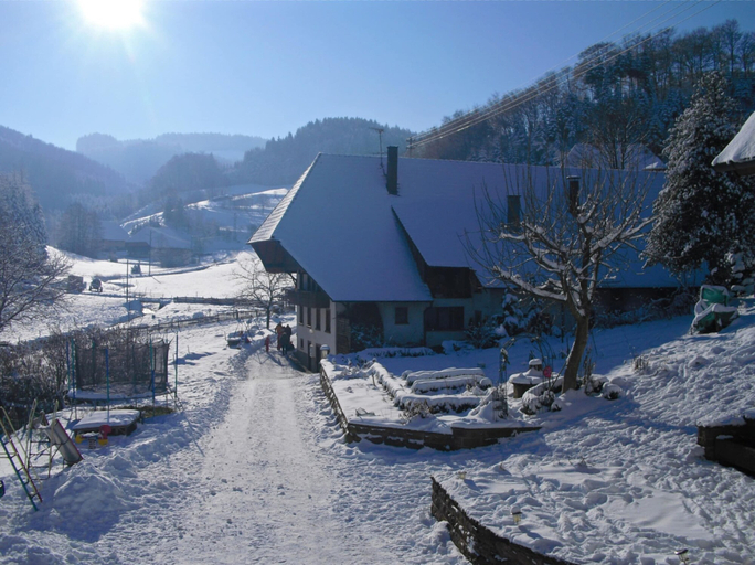 Exterior & Views 2, Ruhiges Bauernhaus, Hofstetten, Ortenaukreis