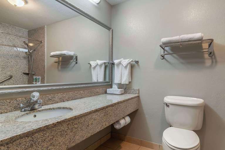 Bathroom 4, Best Western Auburn/Opelika Inn, Lee