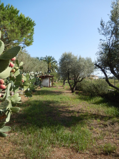 Others 3, Le Case Rosa vicino Tropea, Vibo Valentia