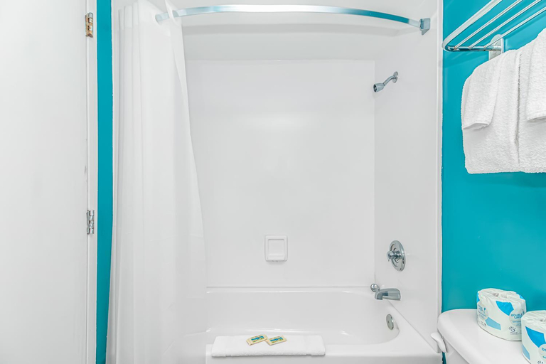 Bathroom 4, Landmark 708, Horry