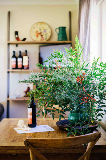 Others 5, Rosby Guesthouse and Studio, Mid-Western Regional - Pt A