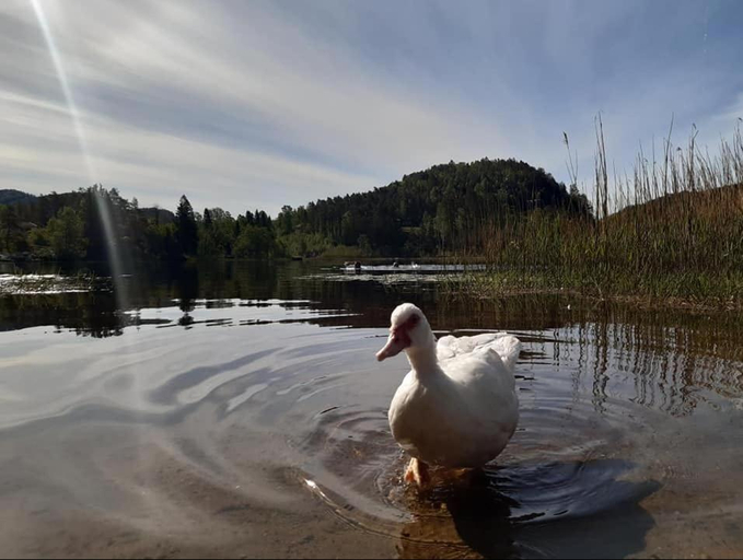 Others 4, Svindland Camping, Kvinesdal
