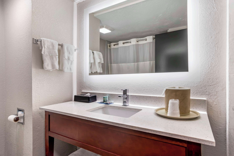 Bathroom 4, Best Western Canton Inn, Madison
