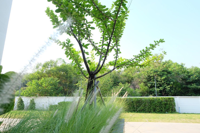 Others 4, DE VINE HOUSE, Muang Roi Et