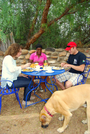 Food & Drinks, Amber Lagoon Backpackers Lodge, Eden