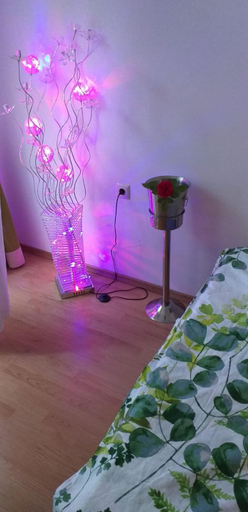Bedroom 2, Aphrodite Rose, Nesebar