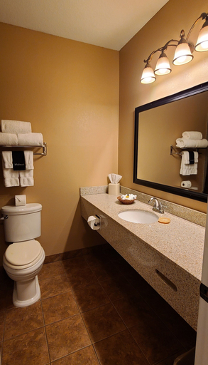 Bathroom 4, The Lodge at Flat Rock, Henderson