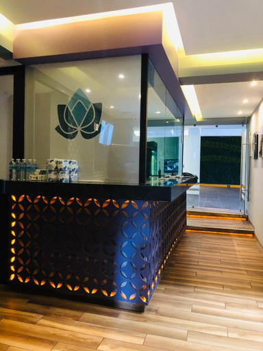 Public Area 2, Hotel Lirio - Adult Only, Mexico City