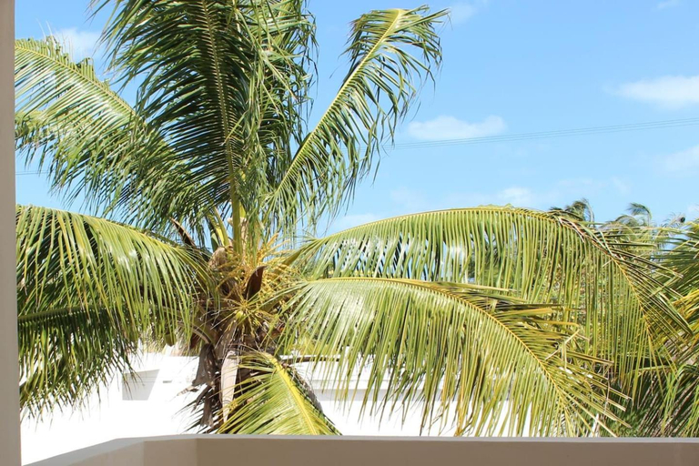 Surrounding environment, Casa Canukatan, Progreso