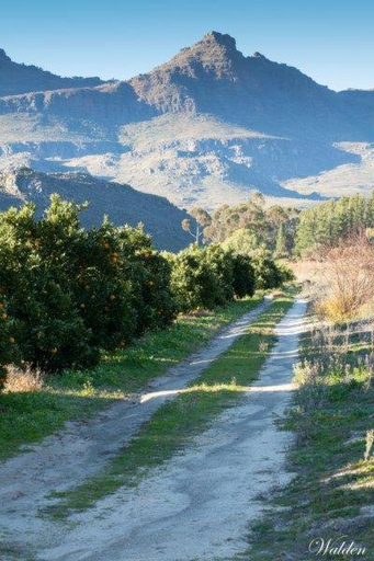 Others 2, Kunje Guesthouse, Cape Winelands