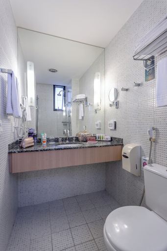 Bathroom 4, Mercure Sao Paulo Nacoes Unidas, São Paulo