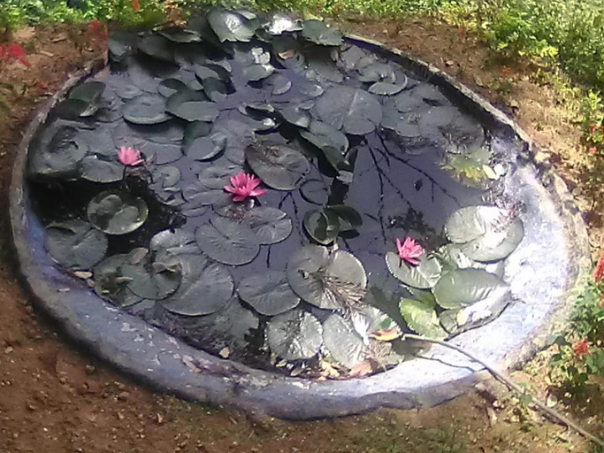 Others 5, Blackcherry Munnar, Idukki