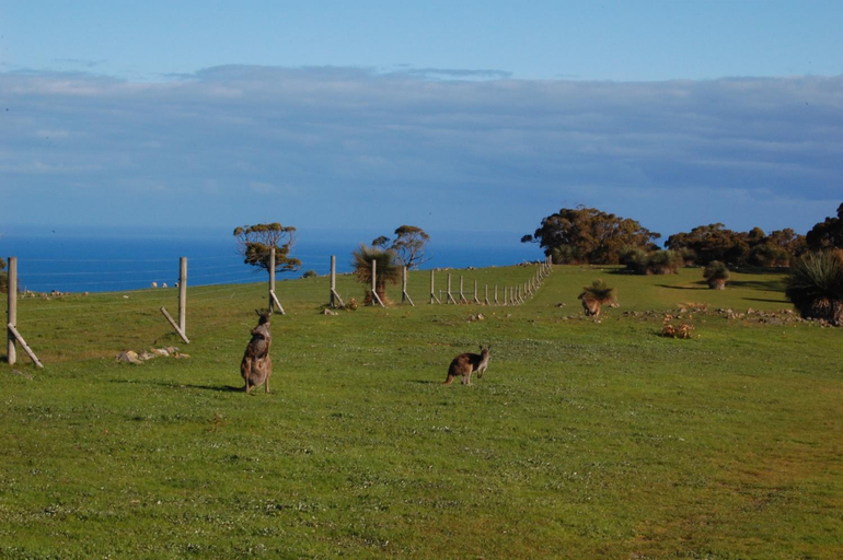 Others 5, Southern Ocean Retreats - Deep Creek National Park, Yankalilla