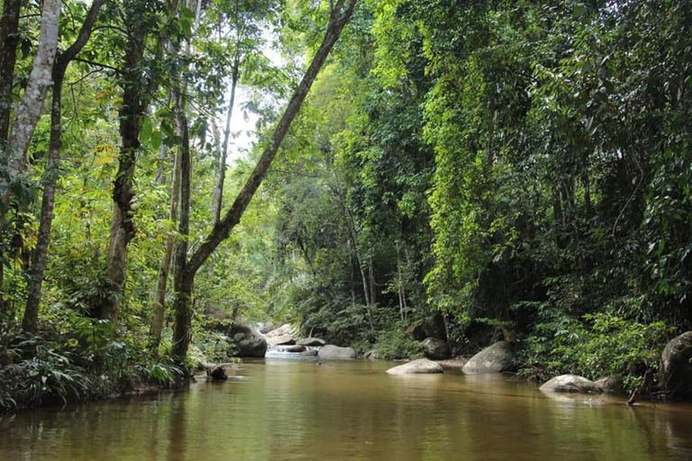 Others 4, Rock Forest Chalet, Bentong