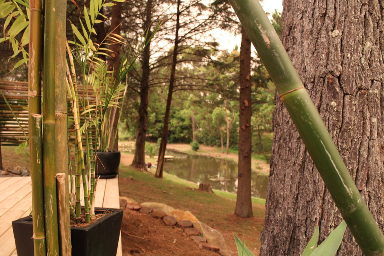 Exterior view 5, Kerikeri Glamping, Far North