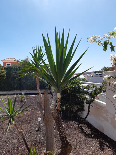 View 5, Villa Dwarika, Home Away From Home - Private heated pool, Las Palmas