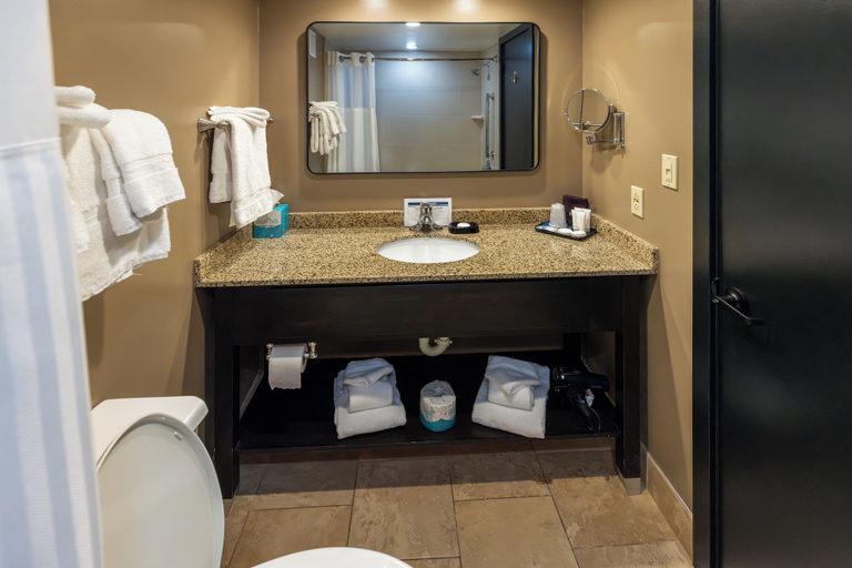 Bathroom 4, The Boulevard Inn & Bistro, Berrien