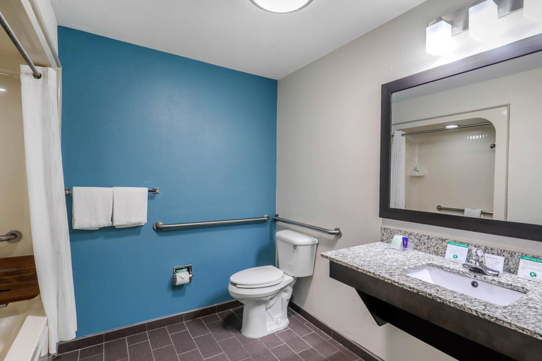Bathroom 5, Clarion Inn & Suites DFW North, Irving