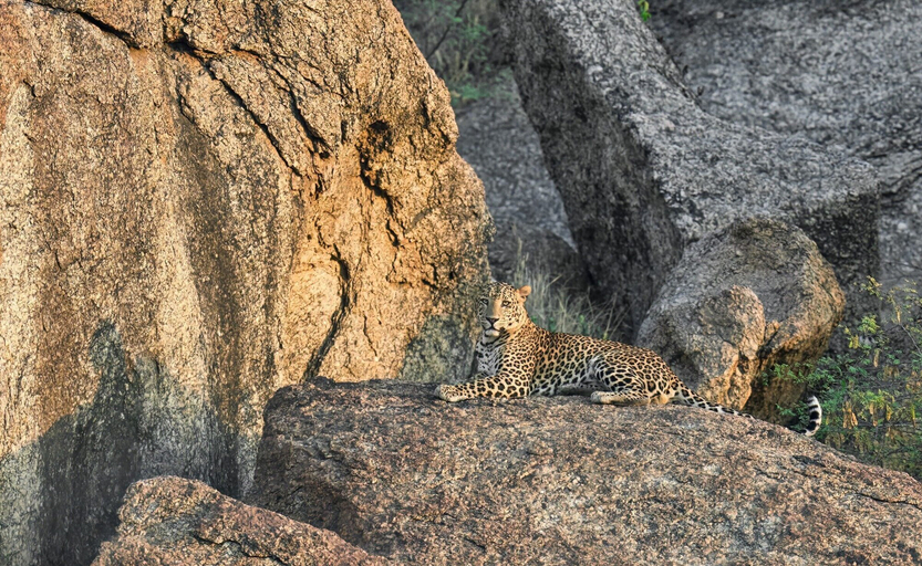 Others 5, Hotel Jawai Inn, Pali