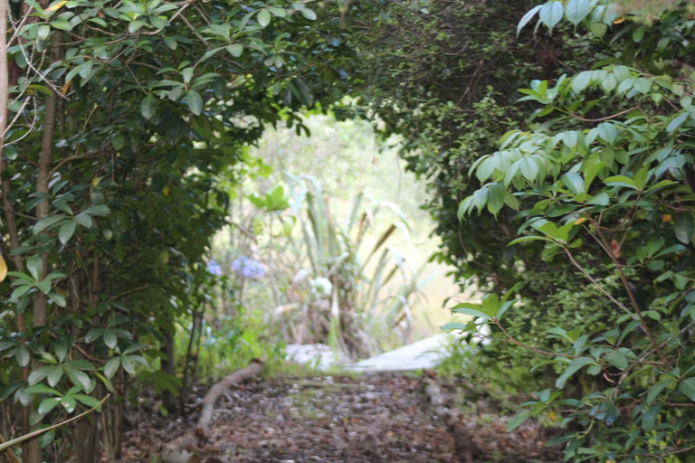 Exterior view 3, Kerikeri Glamping, Far North