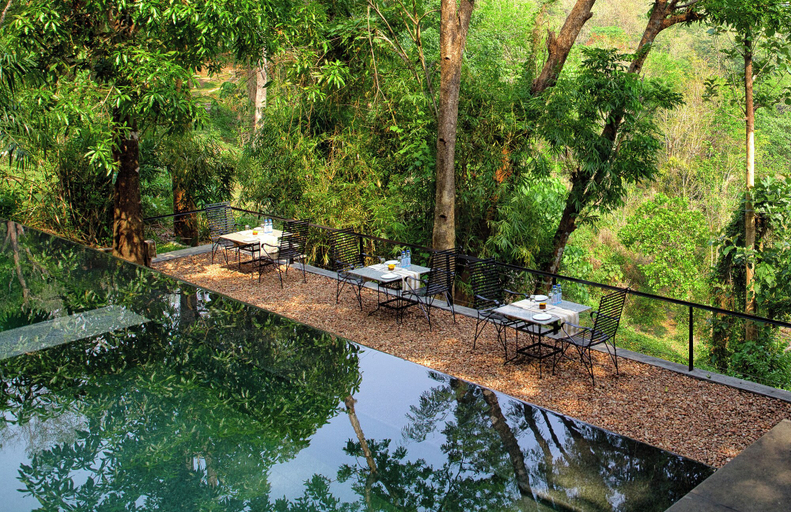 Others 5, Rainforest, Ernakulam