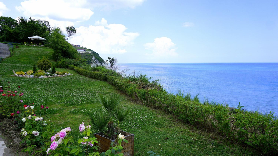 Others 4, Бяла Клиф Форест - Byala Cliff Forest, Byala