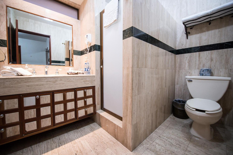 Bathroom 5, La Mansión del Sol, Zapopan
