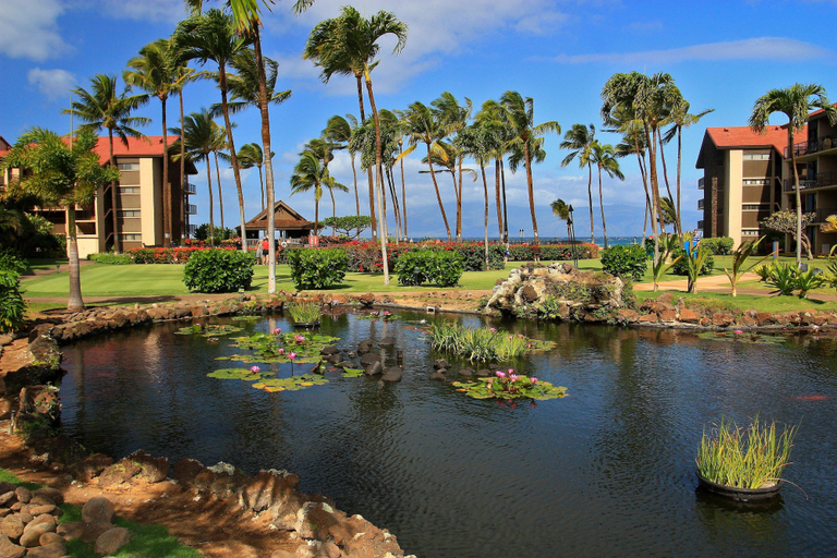Exterior & Views, Papakea #d402 3 Bedroom Condo by RedAwning, Maui
