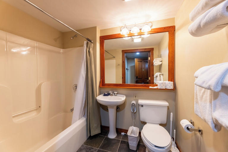 Bathroom 3, Rimfire Lodge, Pocahontas