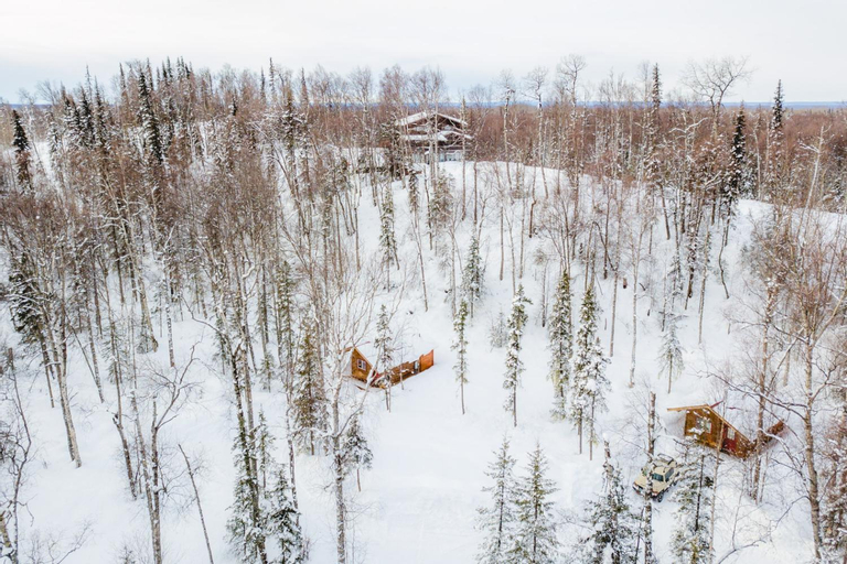 Spruce Cabin, Matanuska-Susitna