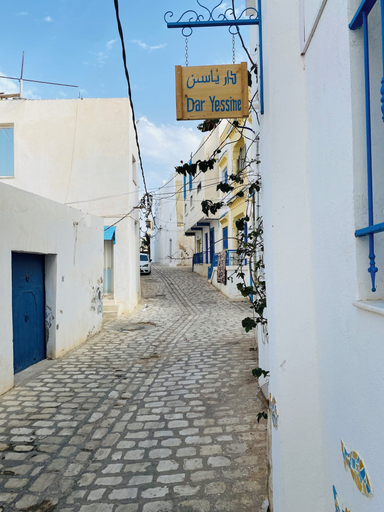 Exterior & Views 2, dar Yessine, Hergla