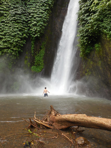 Others 3, Villa Wana - Jungle Garden Villa, Buleleng