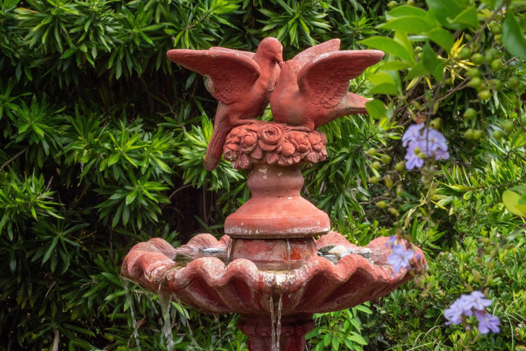 Others 5, The Old Sugar Mill Country Escape in Paradise, Maroochy