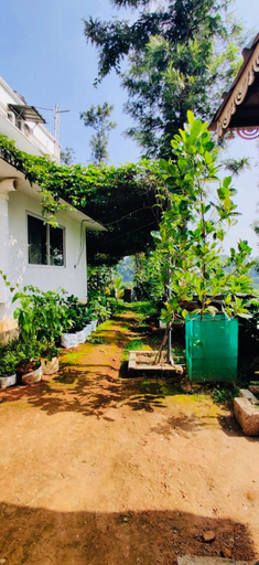 Exterior & Views 1, Villa Tesori Homestay Wayanad, Wayanad