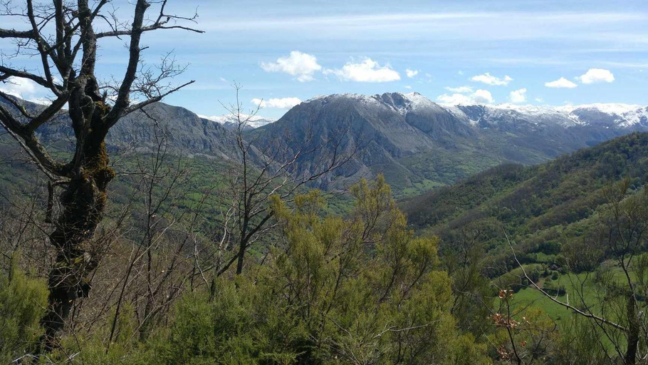 5, Apartamentos Valdecarzana Senda del Oso, Asturias