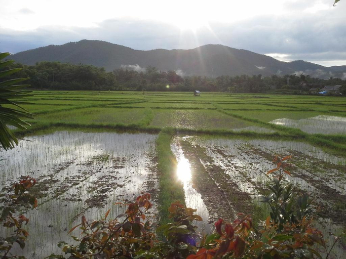 Others 3, Jamjuree Garden, Doi Saket