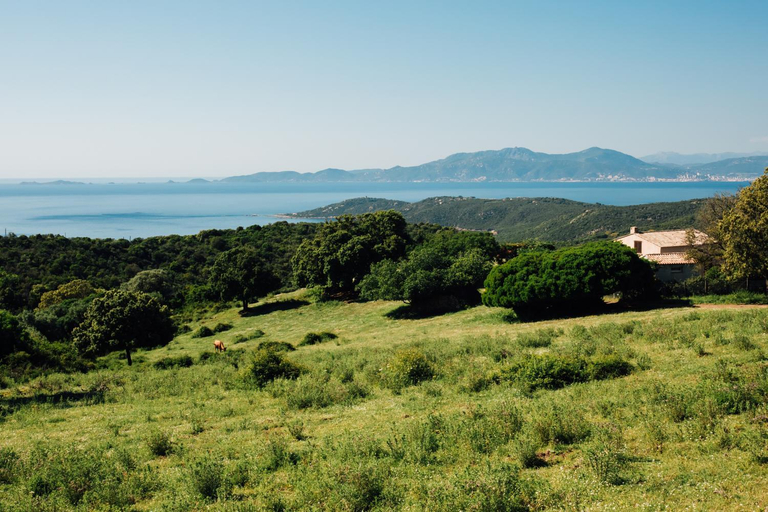 Surrounding environment 5, Villa BARQUIERO, Corse-du-Sud