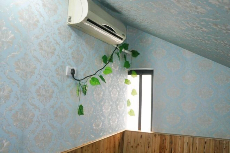 Others 5, Ruguo'ai Hostel, Jiaxing