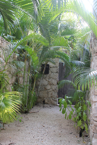 Public Area, Kuun Taak Tulum, Cozumel