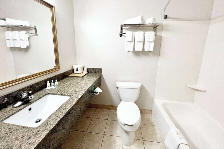 Bathroom 5, Quality Inn Gainesville I-75, Alachua