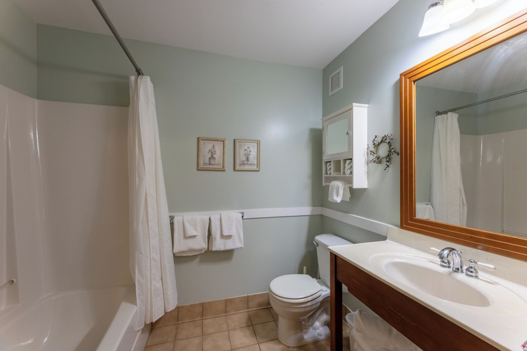 Bathroom 4, Allegheny Springs, Pocahontas
